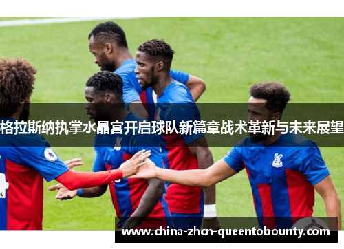 格拉斯纳执掌水晶宫开启球队新篇章战术革新与未来展望